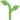 seedling
