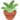 potted plant